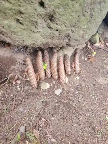 童女神社の自然