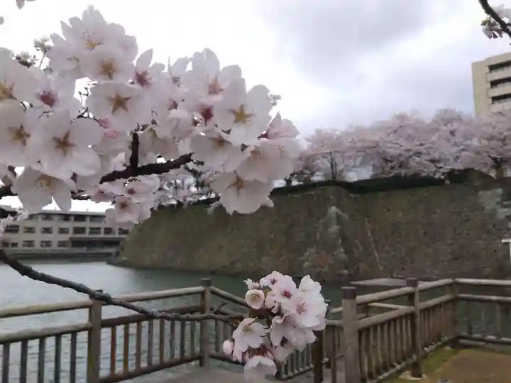 福井神社(福井県)