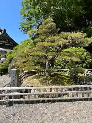 長谷寺(奈良県)