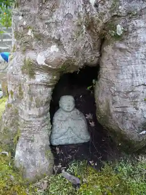 大聖院(広島県)