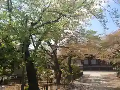 法華経寺の建物その他