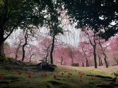 城南宮(京都府)