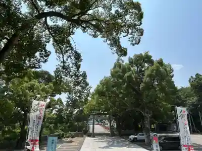 大麻比古神社(徳島県)