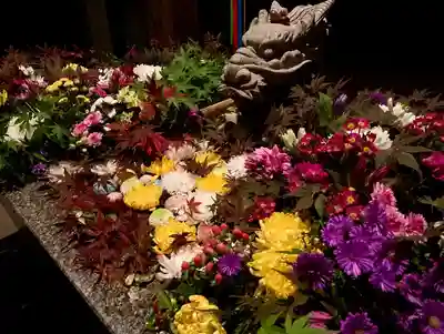 滑川神社 - 仕事と子どもの守り神の手水舎