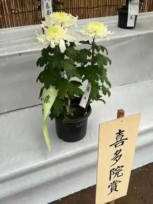 喜多院(埼玉県)