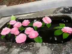 素鵞神社(茨城県)