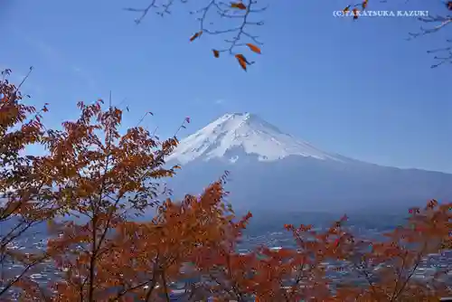 新倉山浅間公園忠霊塔の景色