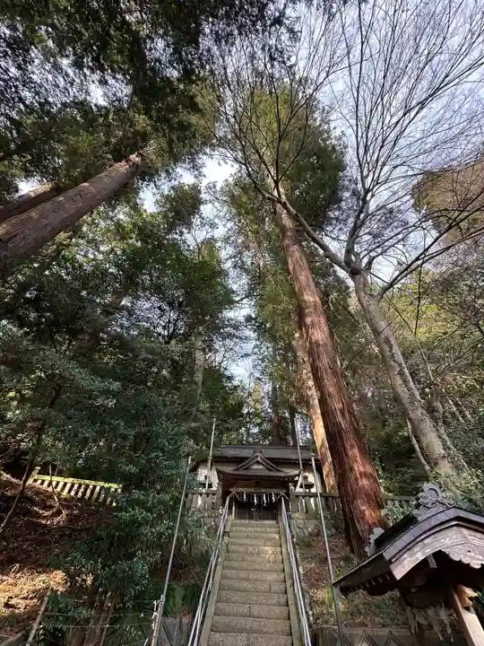 根小屋諏訪神社(神奈川県)