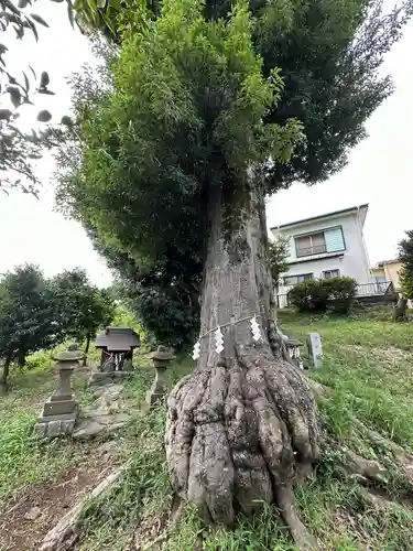 神明社(東京都)