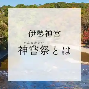 諫早神社(九州総守護 四面宮)(長崎県)(2024年10月16日(水) 23時38分00秒投稿)