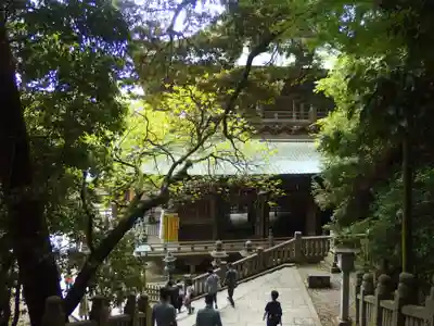 金刀比羅宮(香川県)