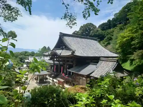 岡寺（龍蓋寺）(奈良県)
