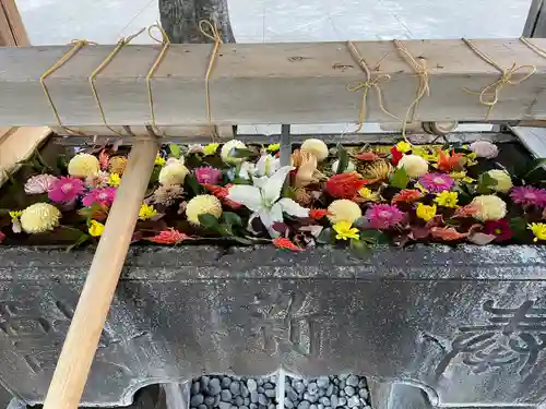 鳩森八幡神社の手水