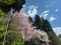 坪沼八幡神社の自然
