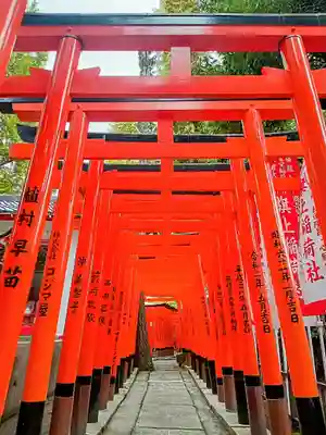 阿部野神社(大阪府)