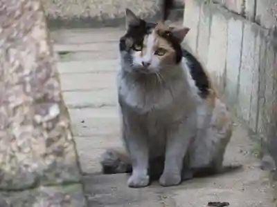 下御霊神社(京都府)