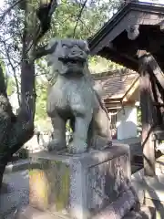 市原稲荷神社の狛犬