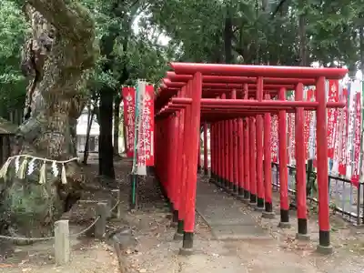 八幡社(白山社八幡社)の末社・摂社