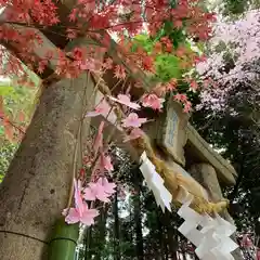 滑川神社 - 仕事と子どもの守り神の鳥居