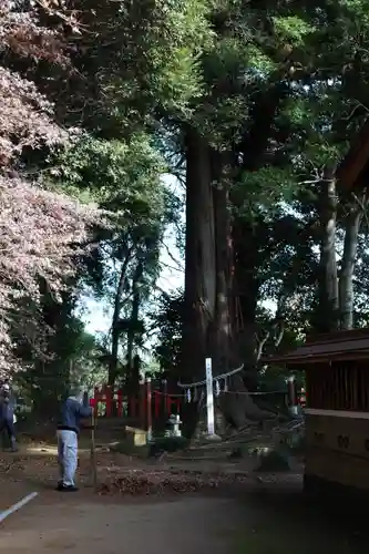 麻賀多神社奥宮(千葉県)