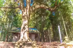 雷神社(宮城県)