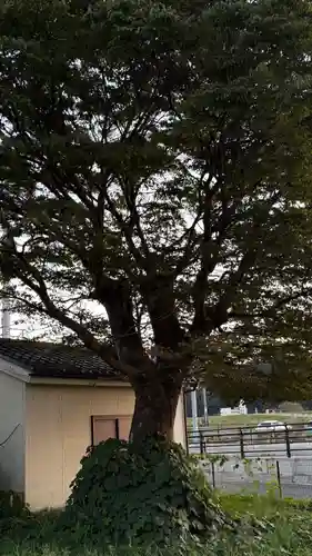 拝幣志神社(宮城県)