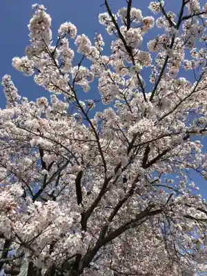 不破神社の自然