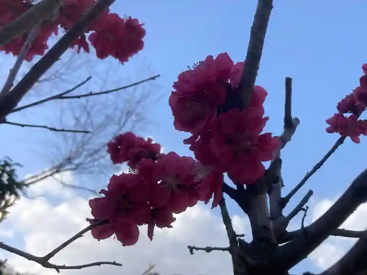 来迎寺(西御門)(神奈川県)