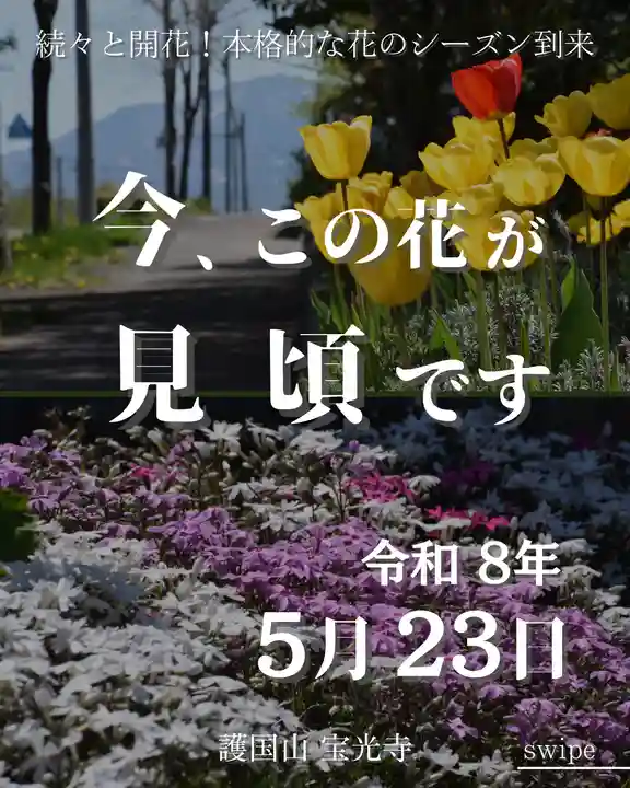 宝光寺(北海道)