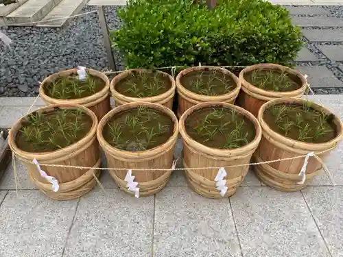 東京大神宮の庭園