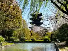 東寺（教王護国寺）(京都府)