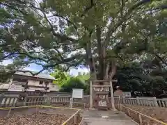 冠纓神社(香川県)