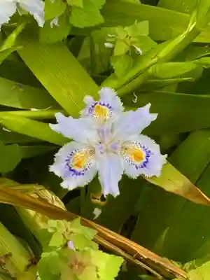 蚊里田八幡宮(長野県)
