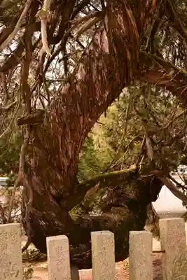 光明坊(広島県)