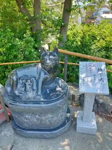 鎮守氷川神社の狛犬