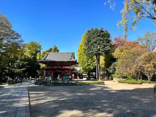 根津神社(東京都)