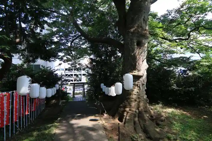 愛宕神社の景色