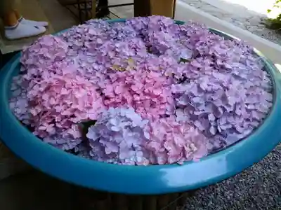 岩船寺の手水舎