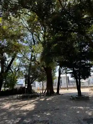 稲荷社（北明治稲荷社）(愛知県)