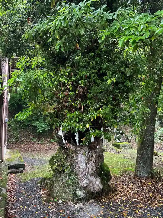 面沼神社(兵庫県)