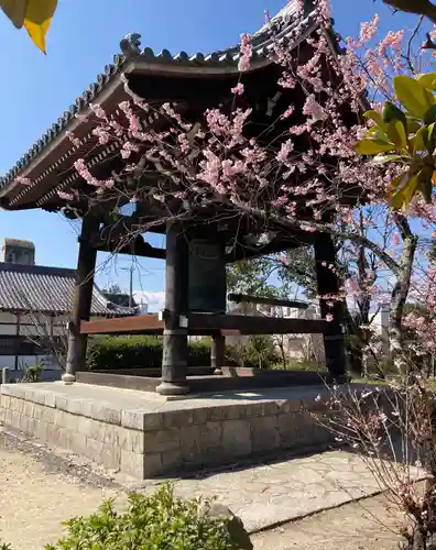 百萬遍知恩寺(京都府)