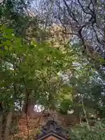 須磨稲荷大明神・和佐稲荷大明神(神奈川県)