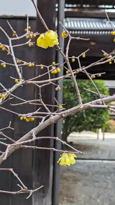 本法寺(京都府)