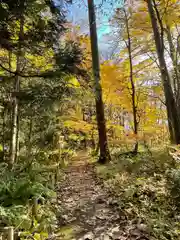 十和田神社の周辺