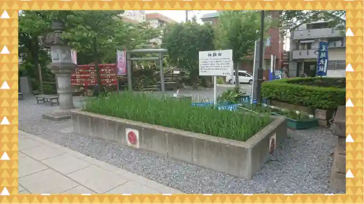 鎮守氷川神社(埼玉県)