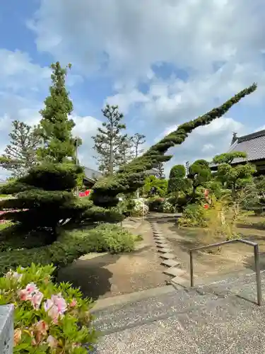 法雲寺(大阪府)