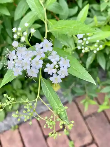 粟嶋堂宗徳寺の自然