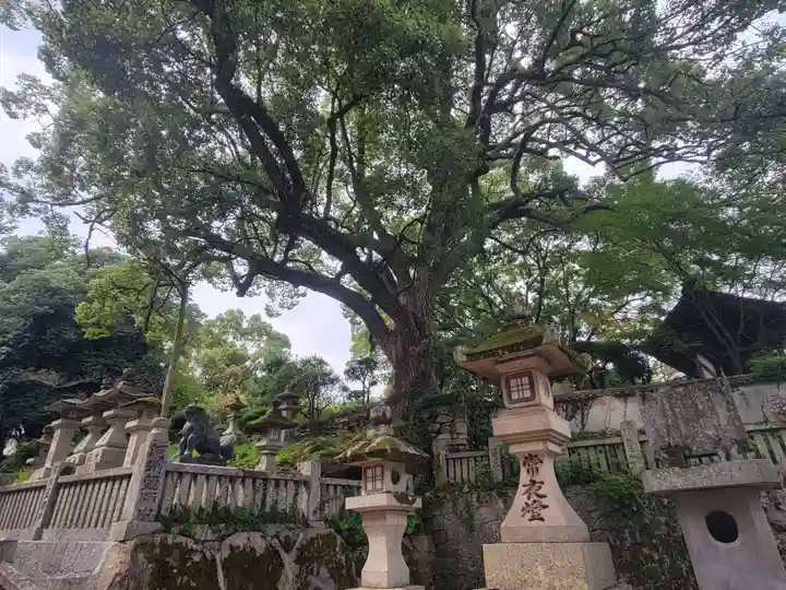 金刀比羅宮(香川県)