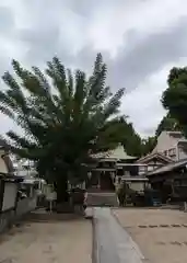 八坂神社(大阪府)