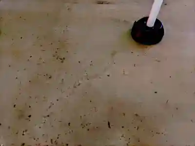 針名神社のその他建物